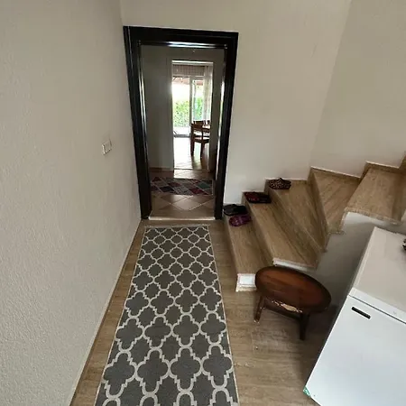 Aysel Villa